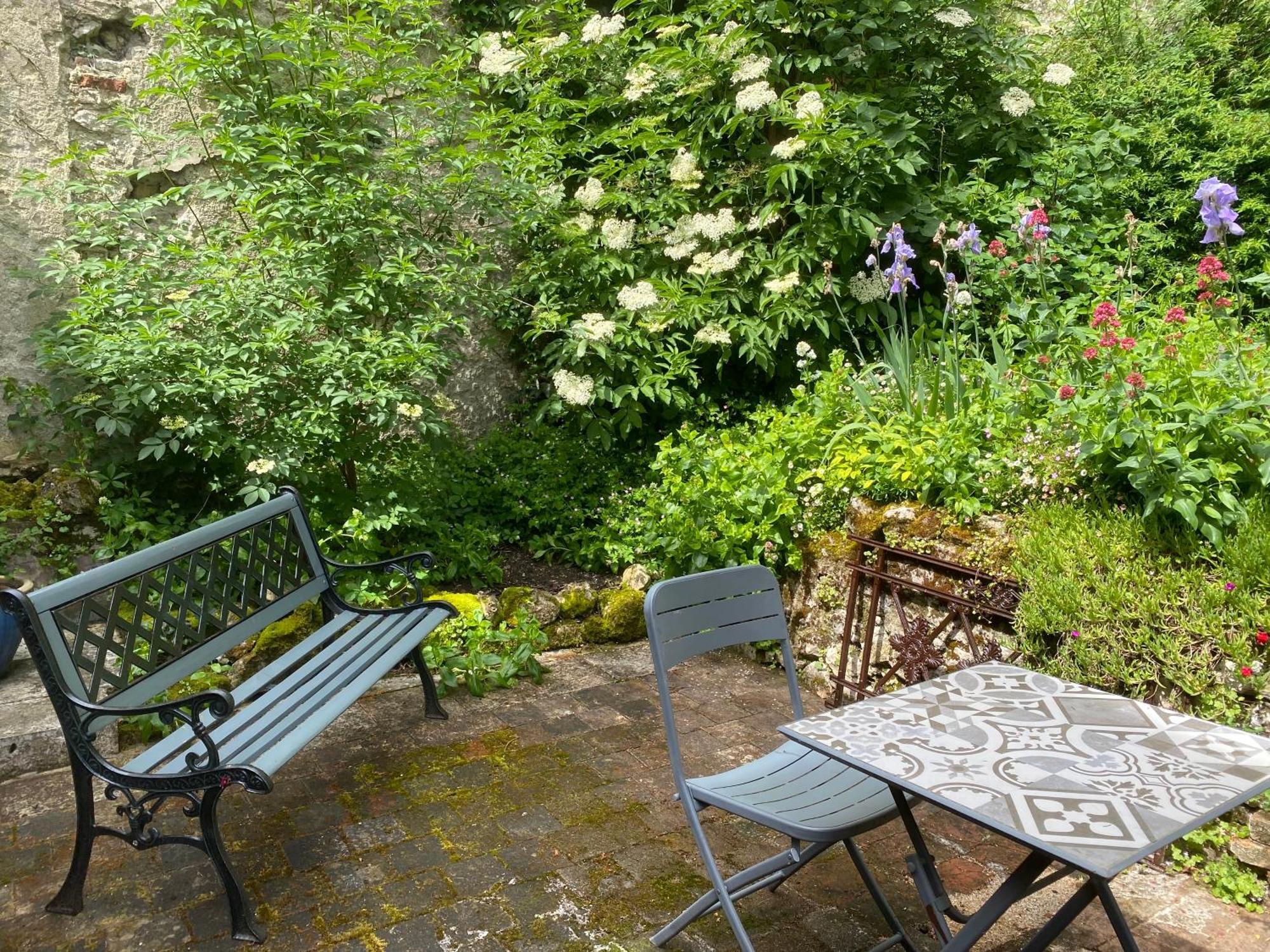 Chatel Rose - Historical Centre With Garden Blois Bagian luar foto