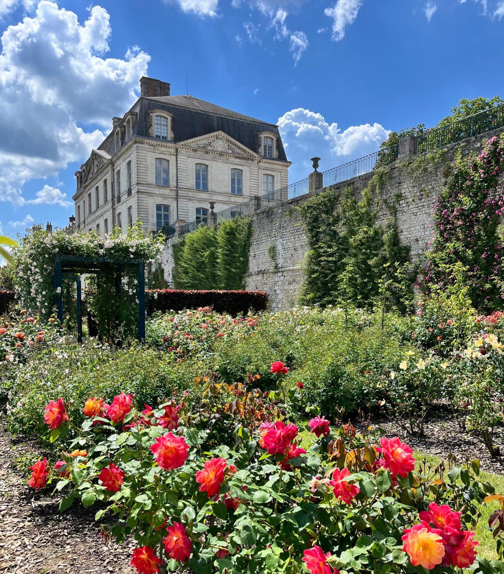 Chatel Rose - Historical Centre With Garden Blois Bagian luar foto